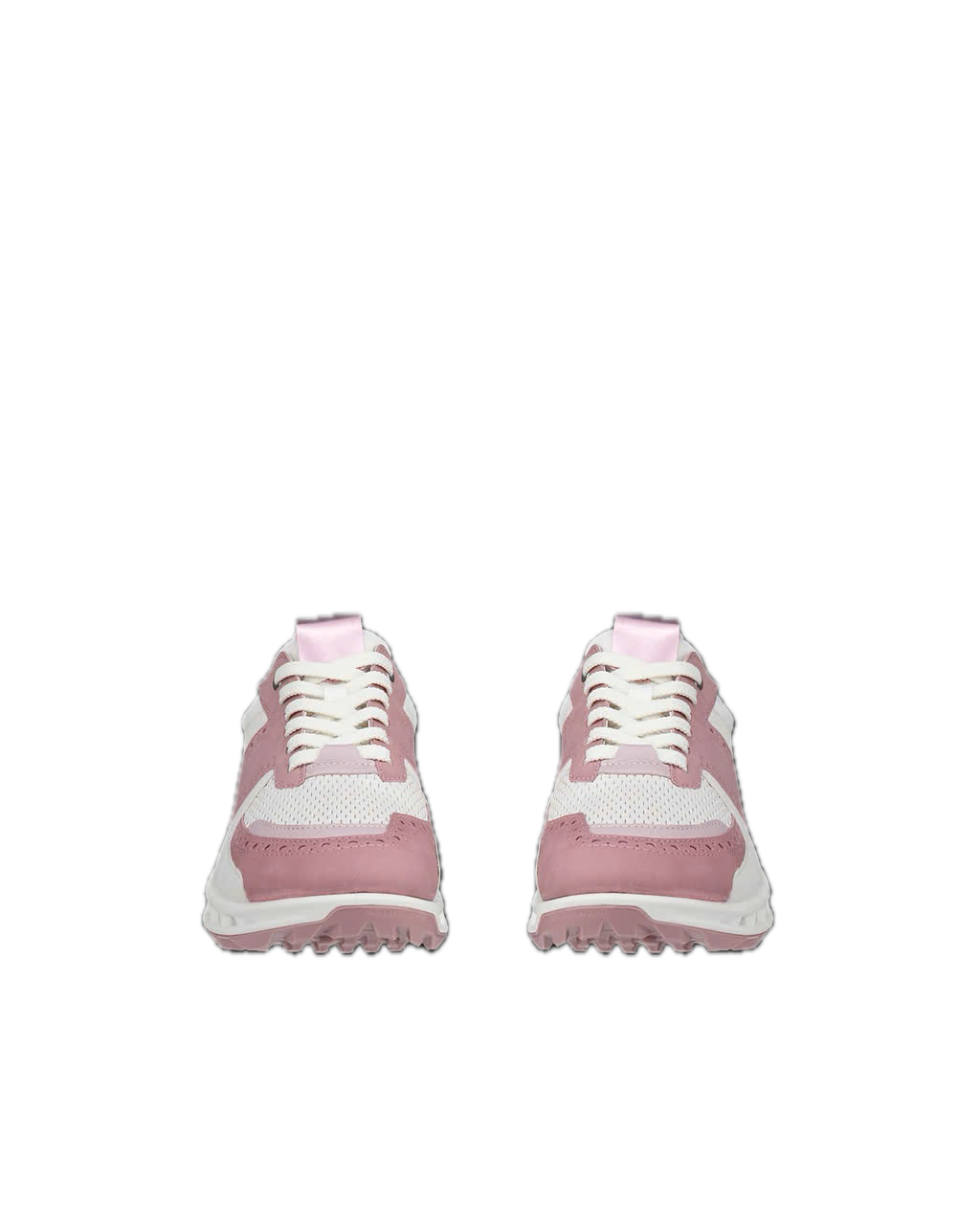 Damen-Golfschuhe ECCO Biom C4 Gore-Tex