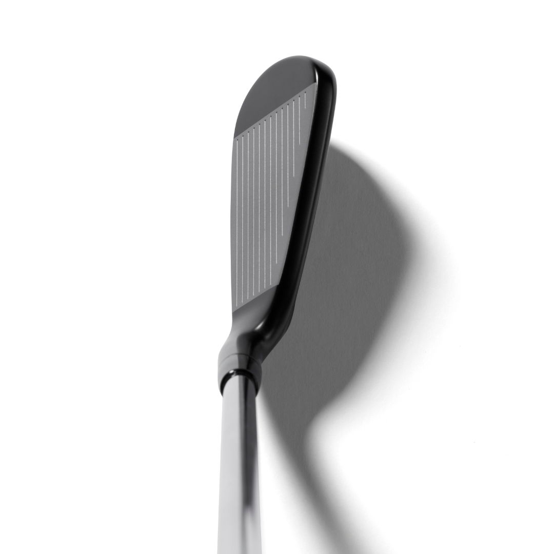 Mizuno JPX 925 Hot Metal Black - Custom