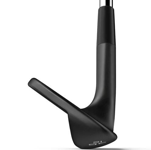 Wilson Infinite Wedge