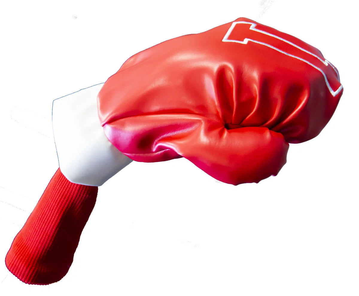 Kopfschutz, Fahr- und Boxhandschuhe