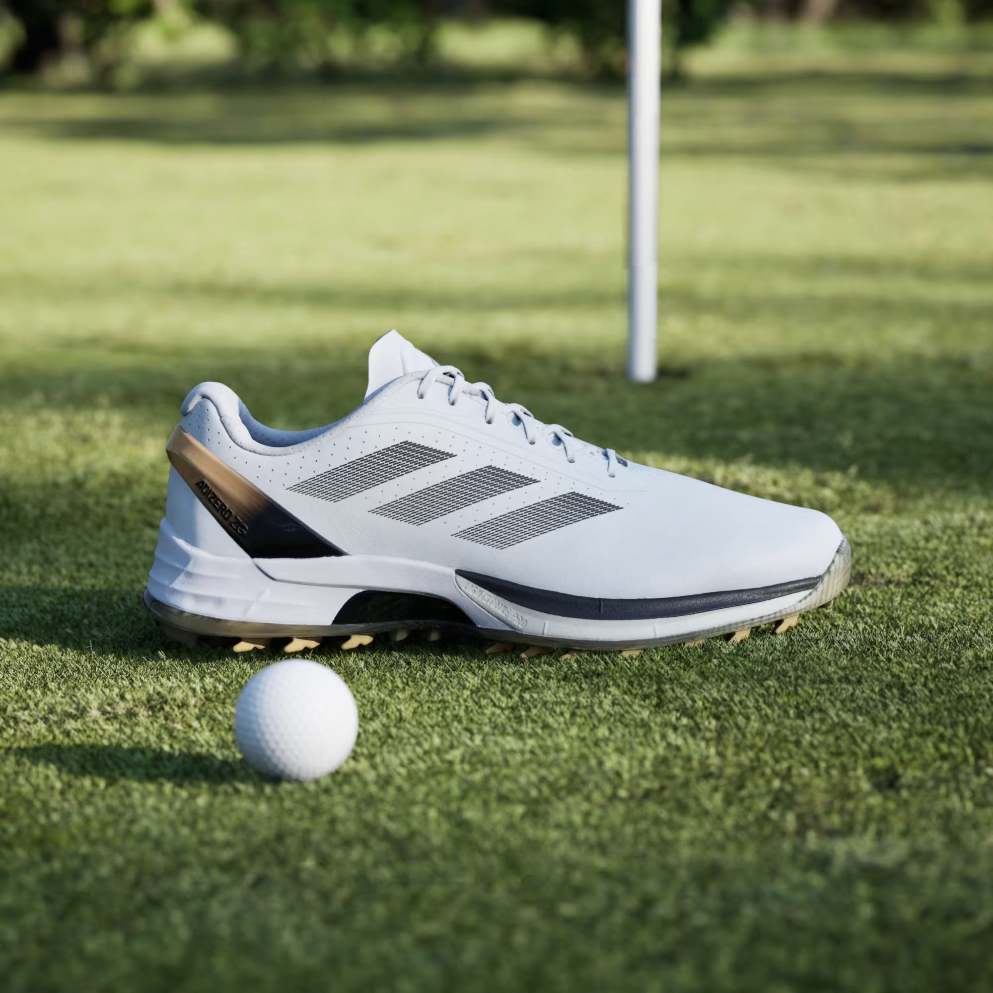 Herren Golfschuhe Adidas Adizero ZG Spikeless