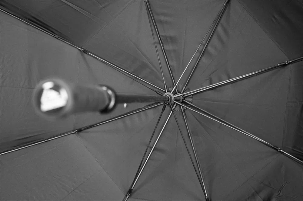 Longridge 60-Zoll-Doppelschirmdach-Regenschirm