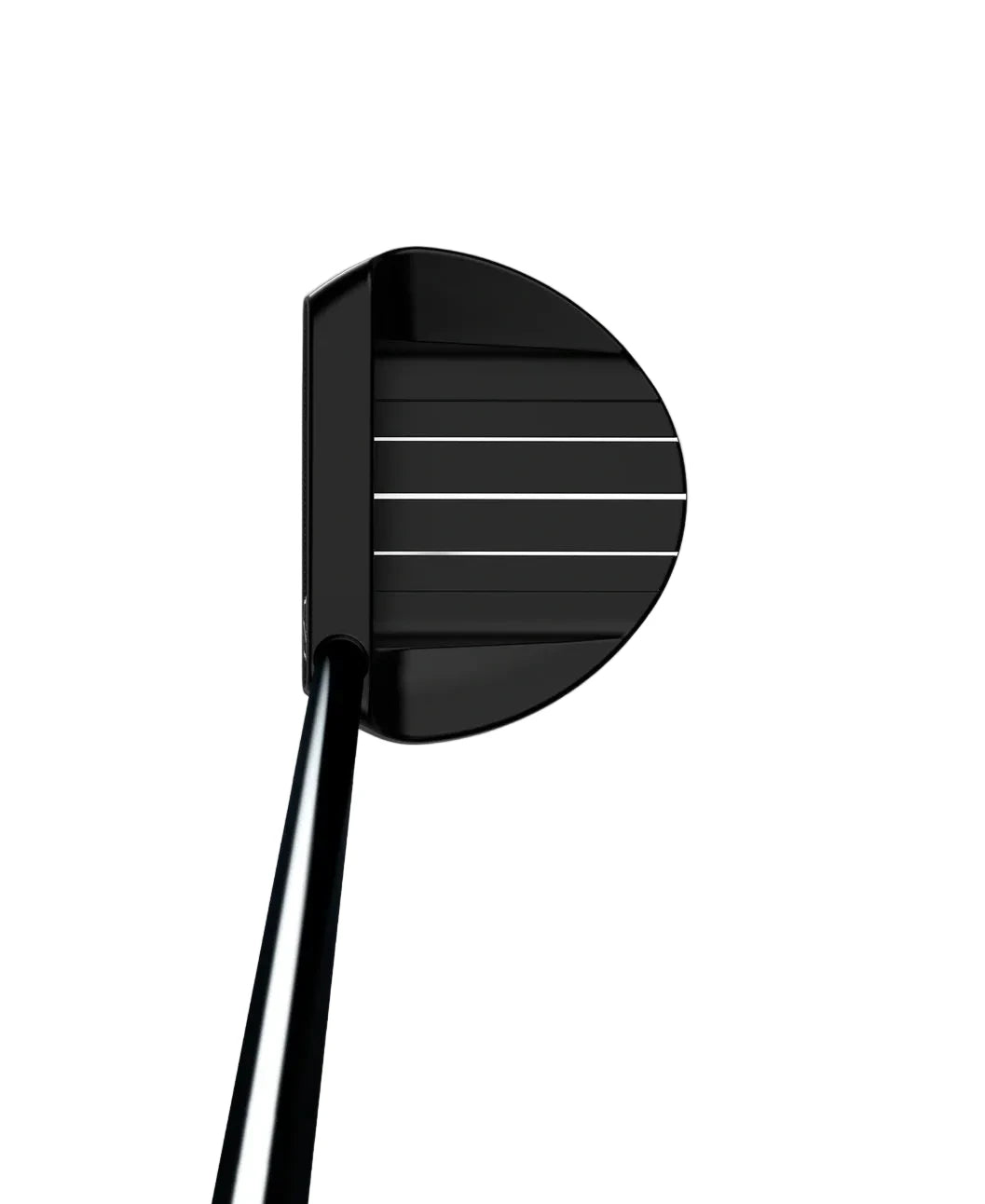 Wilson Infinite The Bean