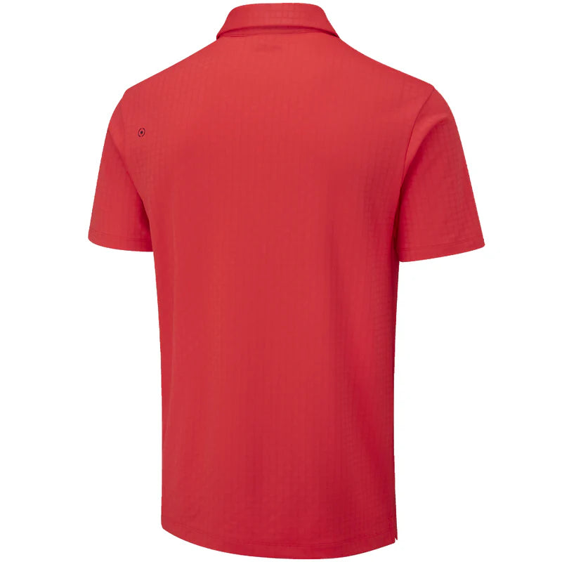 Ping Cillian Polo
