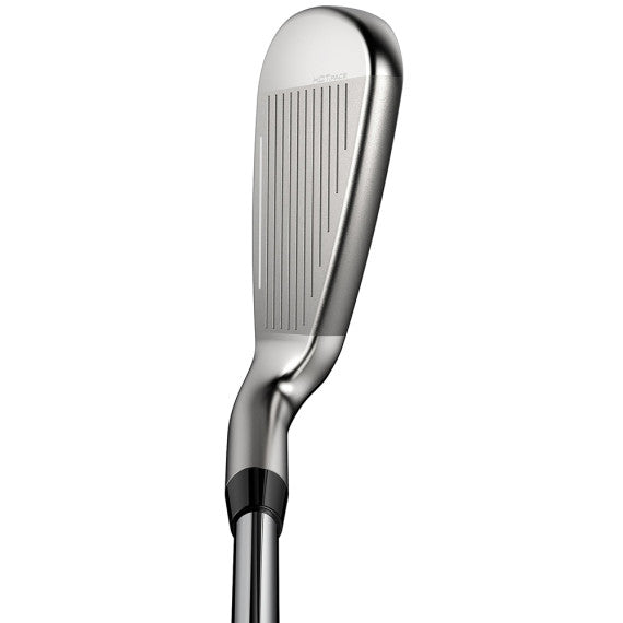 Cobra DS Adapt Max Set di ferri